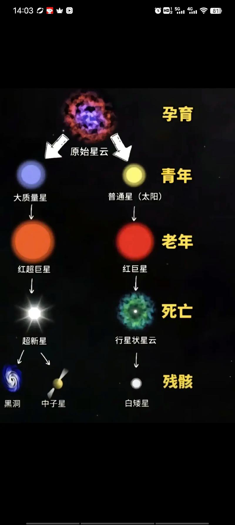 吸血鬼恒星是什么？吸血鬼恒星是什么动漫？  第4张