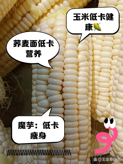 热量比较低的主食有哪些？热量低的主食有什么？  第1张