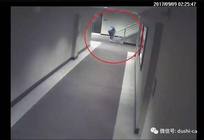 蓝可儿事件真相大白纪录片？蓝可儿事件真相大白 在线观看？  第5张