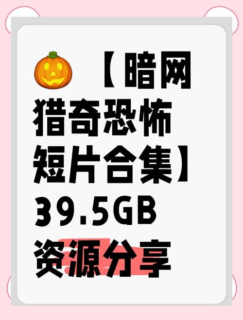 一些进入暗网的恐怖经历的简单介绍  第2张