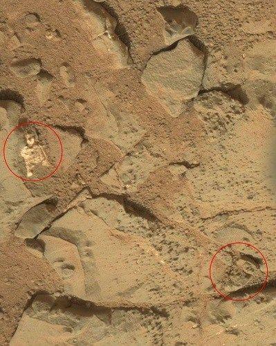 外星人真正的样子？外星人真正的样子吓人？  第1张