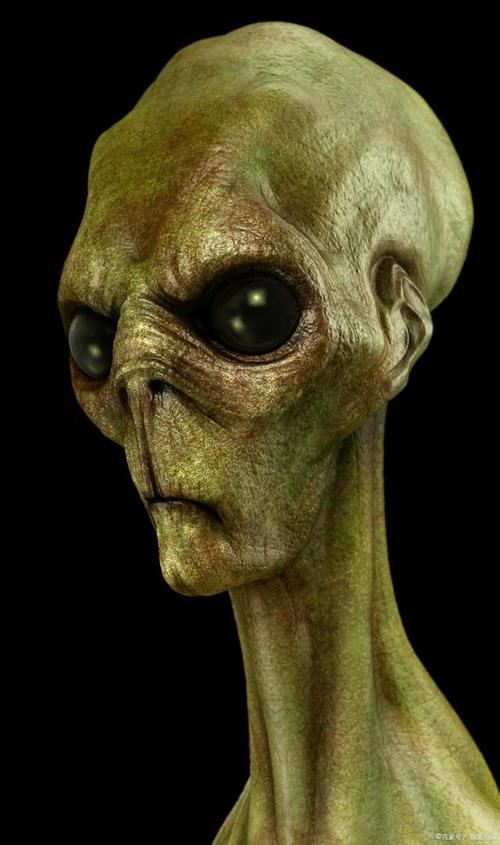 外星人真正的样子？外星人真正的样子吓人？  第4张