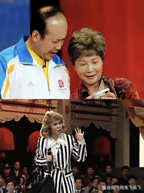 1994年为什么没有春晚，94年春晚为什么没有港台？  第2张
