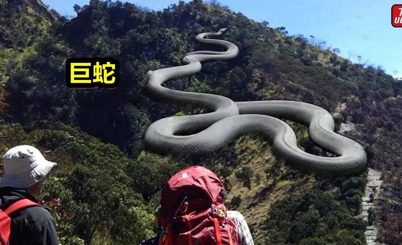 中国辽宁最大的一条大巨蟒？中国辽宁最大的一条大巨蟒在哪里？  第2张