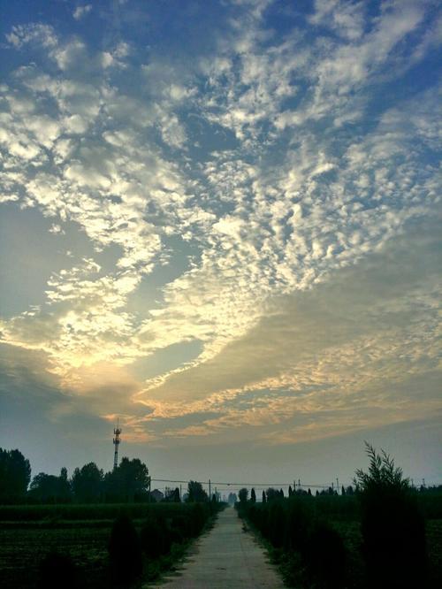 天气24时预报宝鸡，宝鸡天气预报逐小时预报  第5张