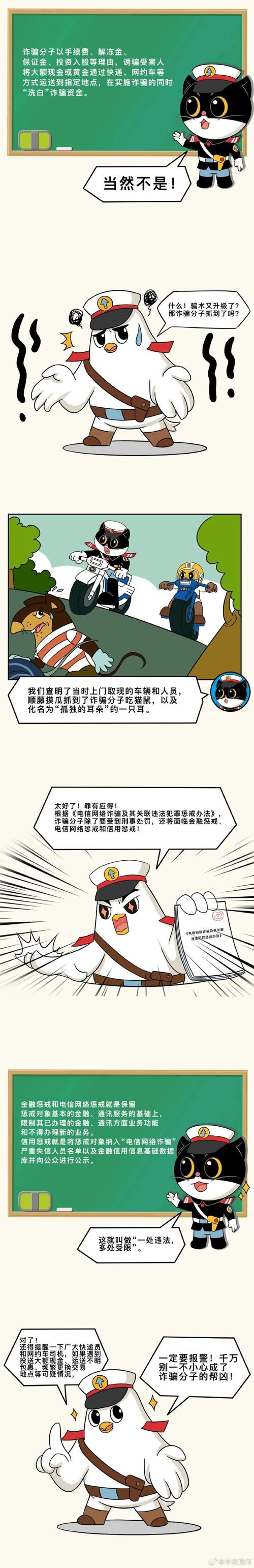 食猴鹰白鸽，食猴鹰视频？  第2张