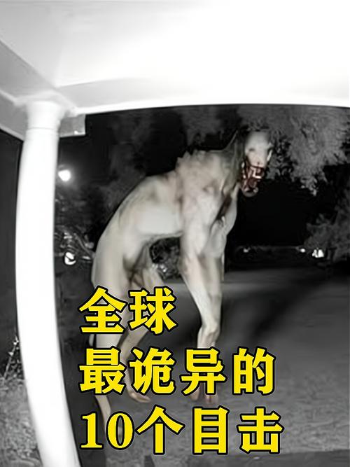 全球前十诡异事件？全球前十诡异事件小说？  第2张