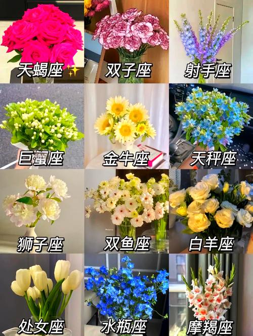 测试自己的本命花？测测你的本命花？  第1张