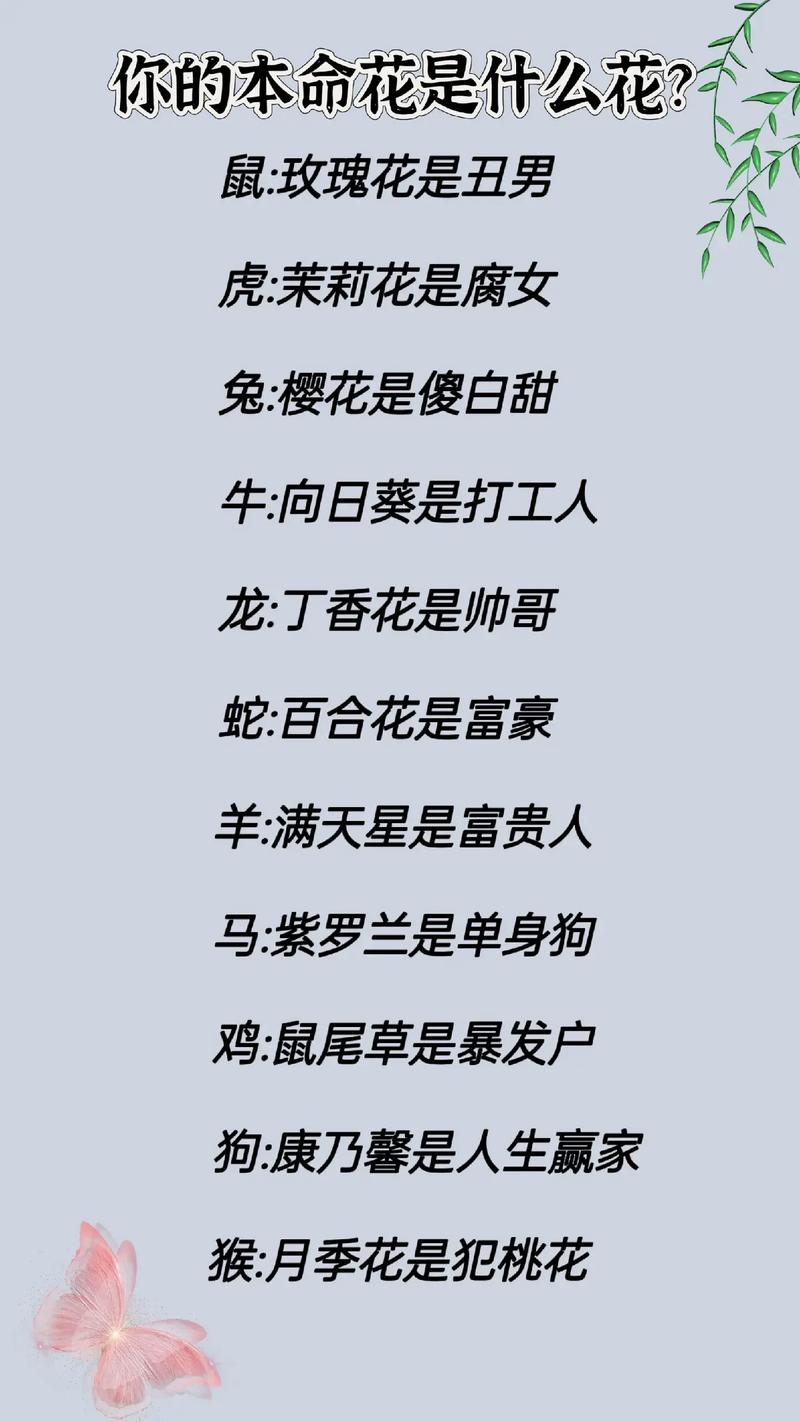 测试自己的本命花？测测你的本命花？  第2张
