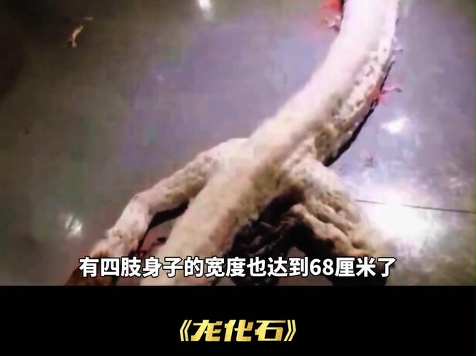 06年真龙吃人照片被游客公开？06年真龙吃人的相片哪里能找到？  第2张
