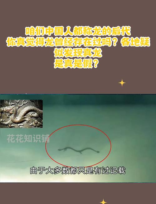 06年真龙吃人照片被游客公开？06年真龙吃人的相片哪里能找到？  第3张