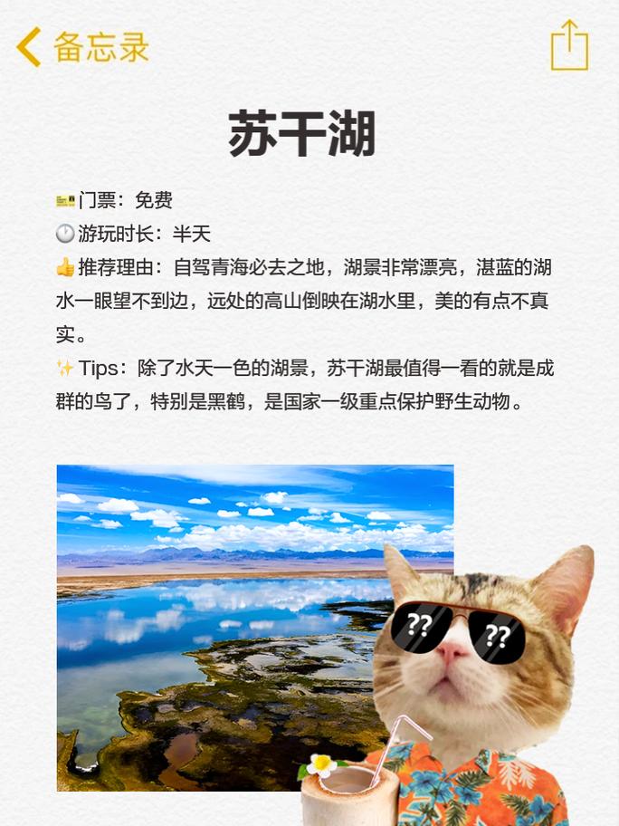 最大的咸水湖在西藏吗，最大的咸水湖是什么湖名字叫什么？  第1张