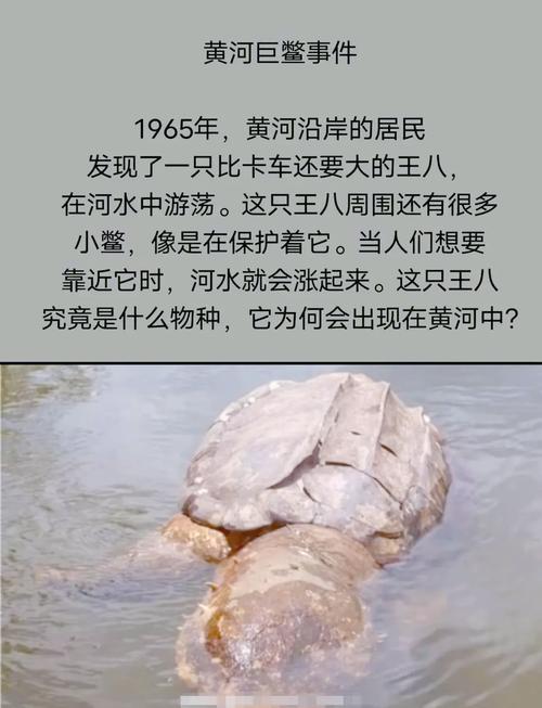 中国前十灵异事件龙，中国的前十灵异事件?？  第1张