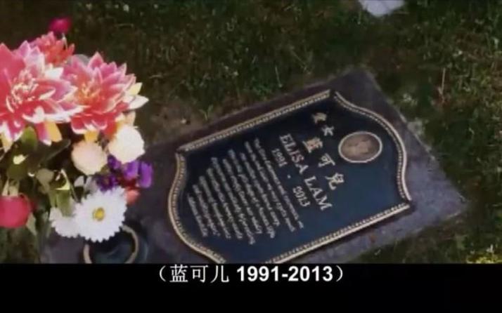 蓝可儿电梯门为什么关不上，蓝可儿按电梯  第3张