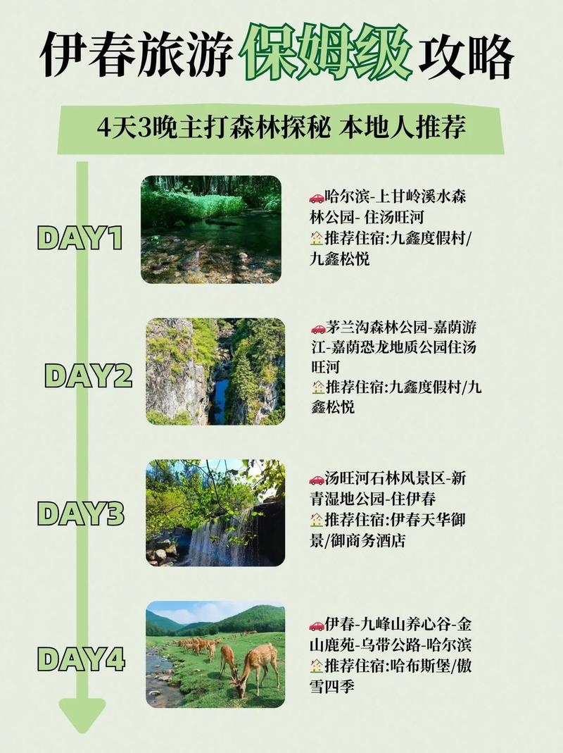 伊春8月份天气预报，伊春八月份天气预报？  第4张