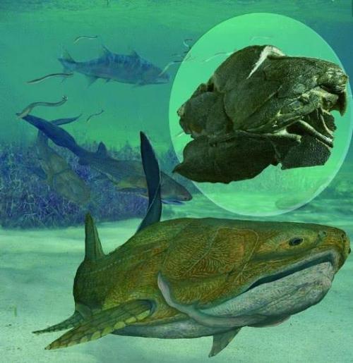 罗布泊的神秘生物？罗布泊到底有什么生物？  第6张