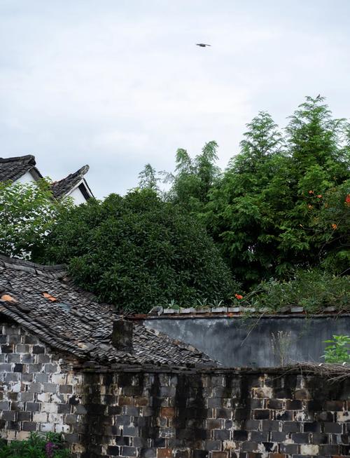 抚州崇仁县天气预报？江西抚州市崇仁县天气预报？  第2张