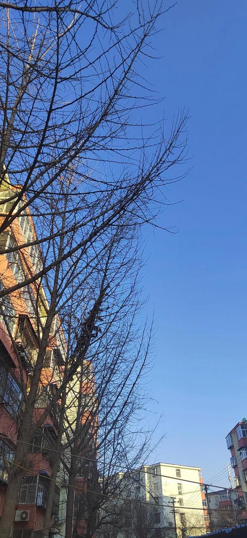邯郸明日天气逐小时，邯郸明日气温  第6张