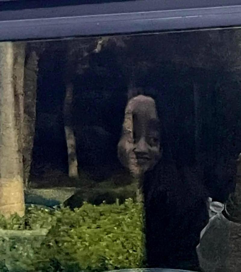 春晚闹鬼事件真相？春晚闹鬼事件真相揭秘？  第2张