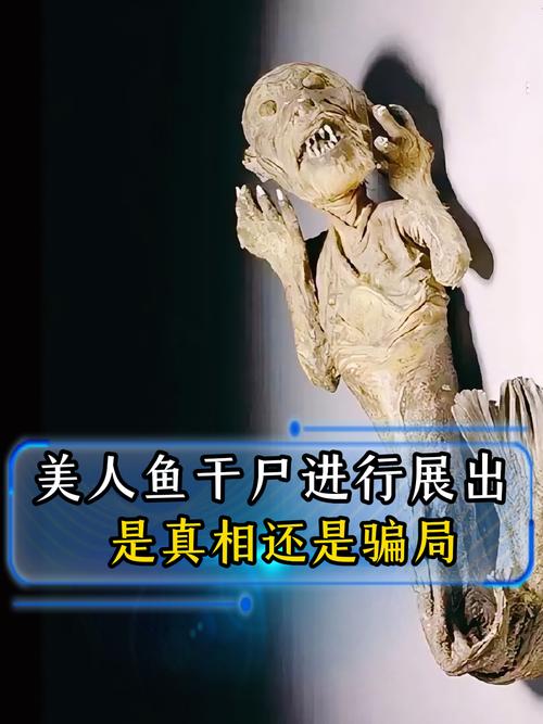黑鳞鲛人就是传说中的美人鱼，黑鳞鲛人就是传说中的美人鱼吗？  第2张