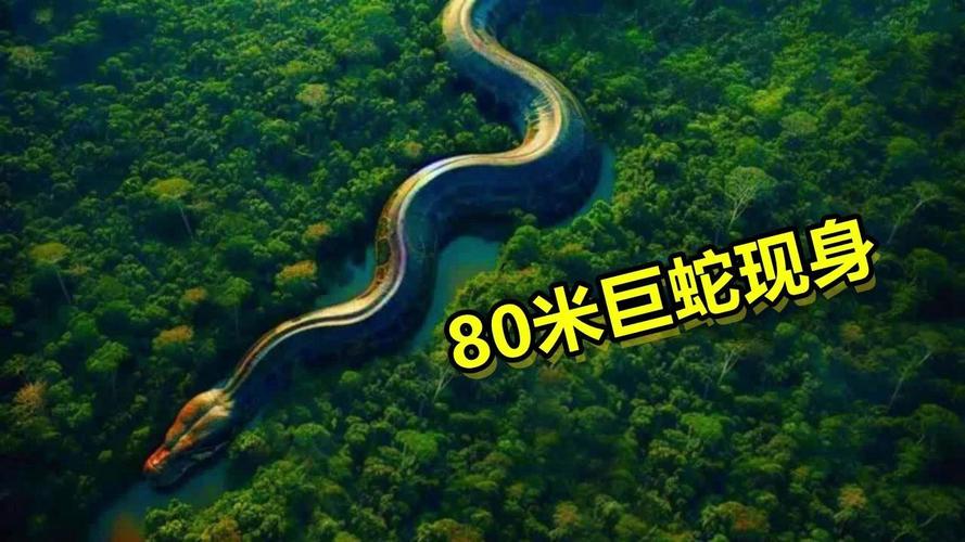 世界巨蛇图片，世界巨大的蛇图片  第1张