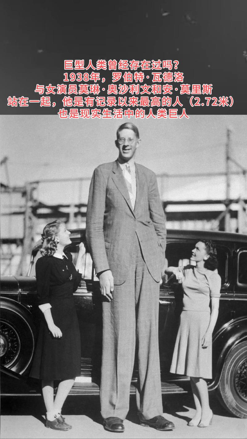 世界上比较高的人500米？世界上比较高的人500米是谁？  第3张