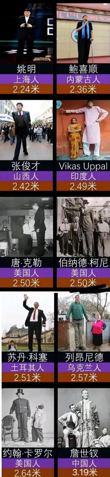 世界上比较高的人500米？世界上比较高的人500米是谁？  第6张