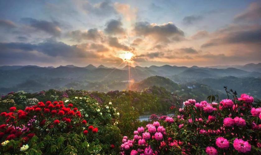 大方县实时天气预报，大方县天气预报7天？  第1张