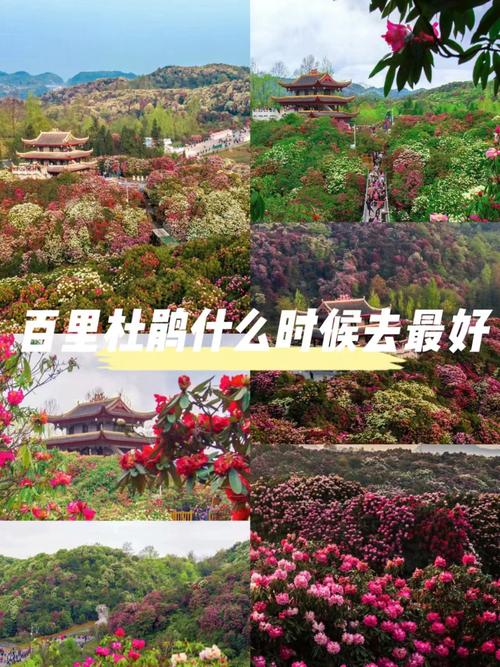 大方县实时天气预报，大方县天气预报7天？  第2张