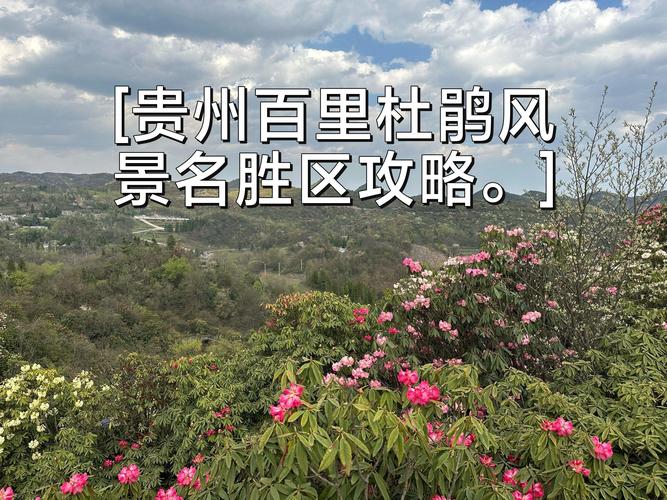 大方县实时天气预报，大方县天气预报7天？  第3张
