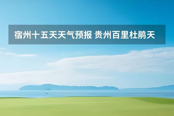 大方县实时天气预报，大方县天气预报7天？  第6张