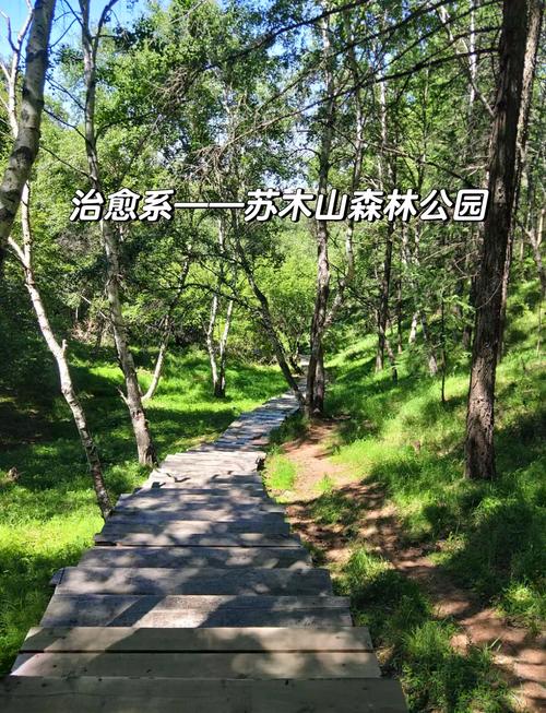 明天兴和的天气预报，明天兴和的天气预报有雨吗  第3张