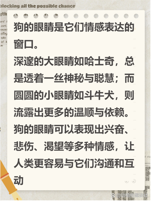 人面狗图片恐怖？人面犬的图案？  第6张