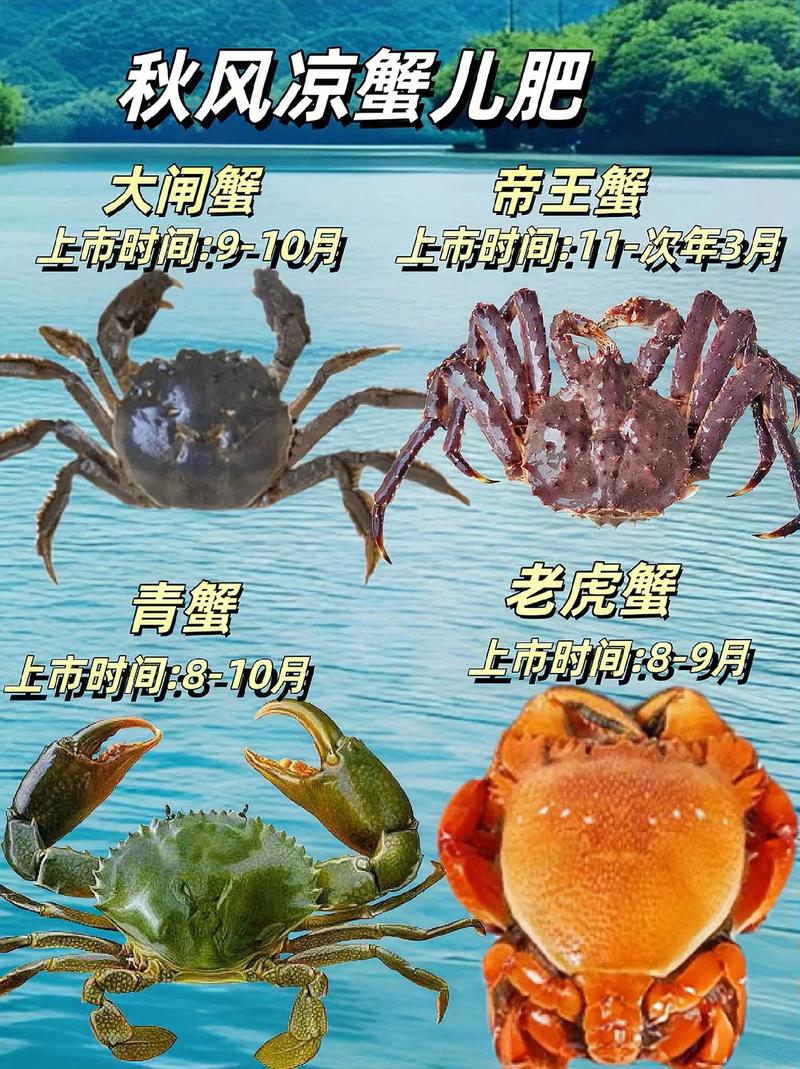 世界上最大的螃蟹长什么样，世界最大的螃蟹长什么样子？  第5张