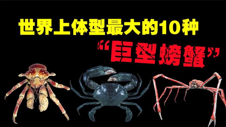 世界上最大的螃蟹长什么样，世界最大的螃蟹长什么样子？  第6张