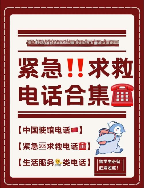 为什么说911救了中国人，911事件救援者为什么患癌？  第5张