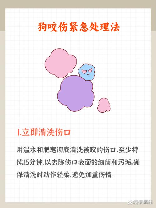 清创恐怖图片，清创比较不恐怖的图片  第1张