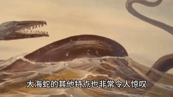 红海巨蛇是怎么回事，红海大蛇的图片  第5张