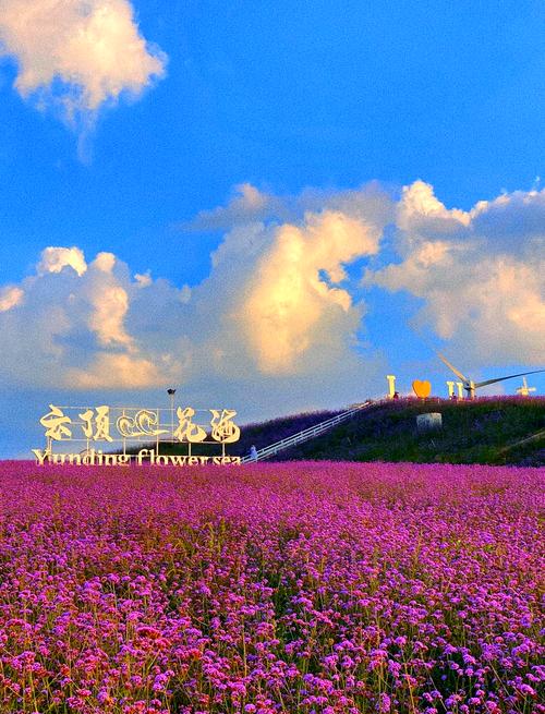 富顺新闻今天的天气，富顺新闻今天的天气预报  第5张