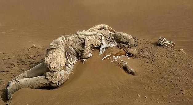 卫星拍到的诡异照片，卫星地图拍到的诡异画面？  第5张