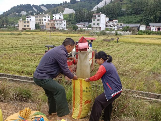 寻乌一个月天气预报，寻乌一个月天气预报40天？  第4张