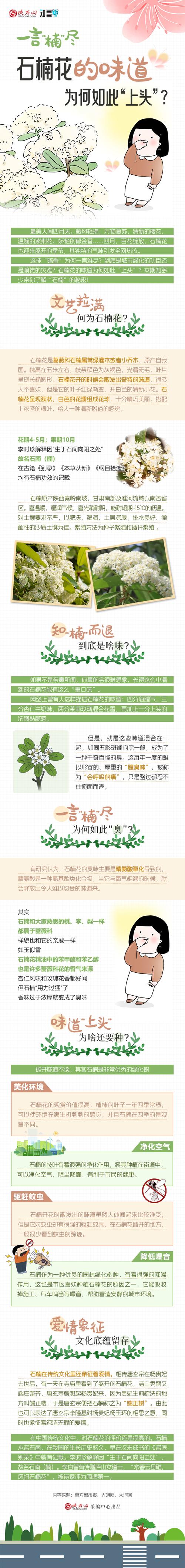 石楠花的味道？石楠花的味道是什么意思？  第2张