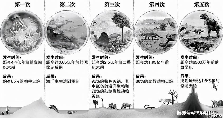 人类在2012已经死了个骗局？2012年人类已经死亡？  第6张