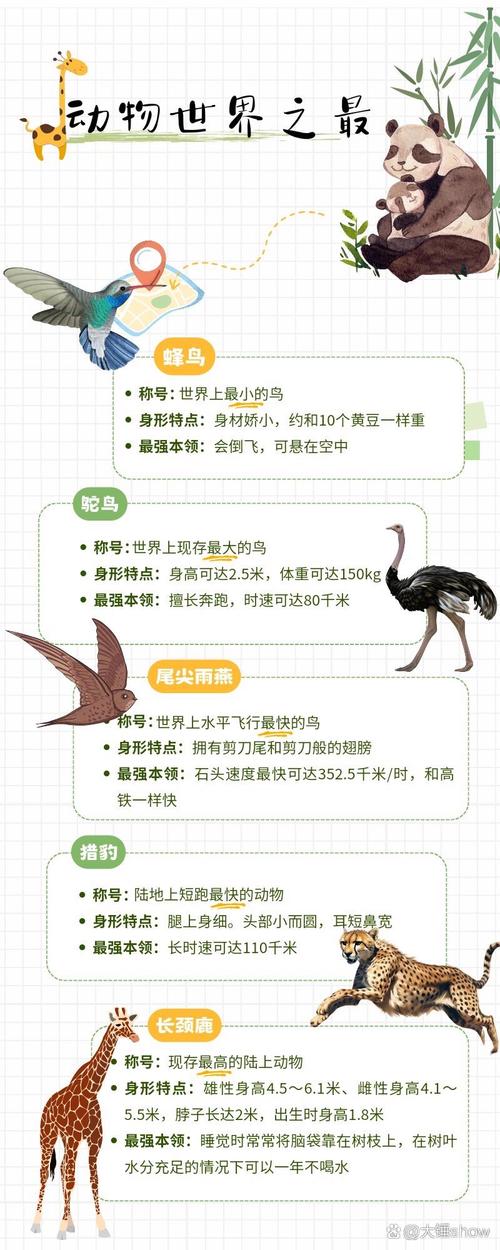 巨型兔子吃人图片？巨型兔子好吃吗？  第1张