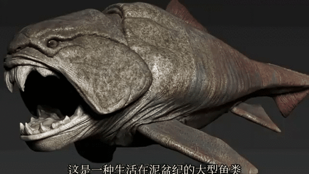 史上出现过最大的动物，史上最大动物排名榜前十名？  第2张