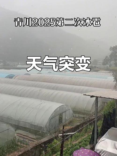 青川天气预报逐小时，青川实时天气预报  第3张