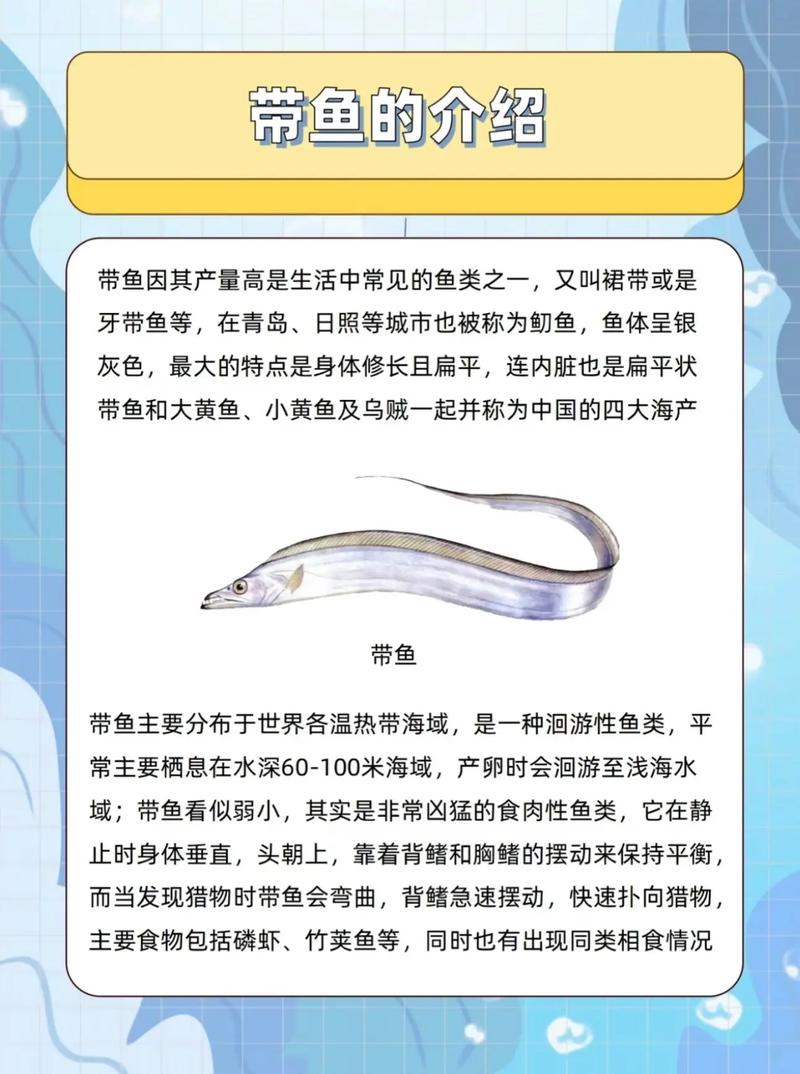 皇带鱼的传说？皇带鱼又名什么？  第2张