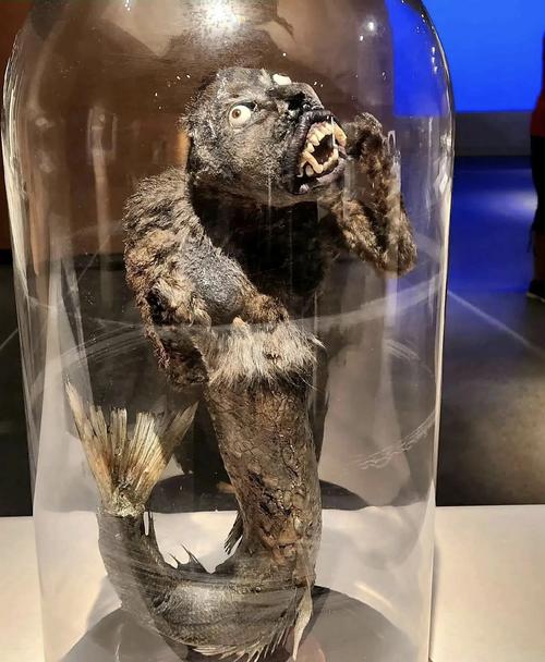 水猴子真实存在吗，传说中的水猴子存在吗  第5张