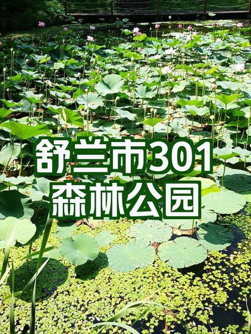 舒兰十天的天气预报？吉林省舒兰市天气15天？  第2张