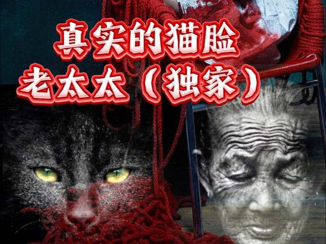 哈尔滨猫脸老太太事件漫画，哈尔滨猫脸老太太知乎？  第3张
